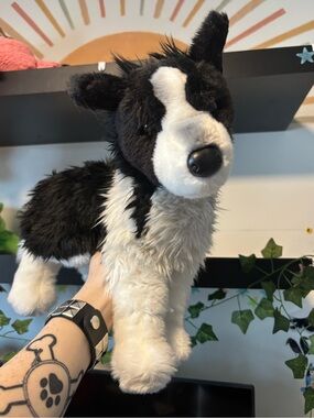 SHAVED Custom Douglas border collie
